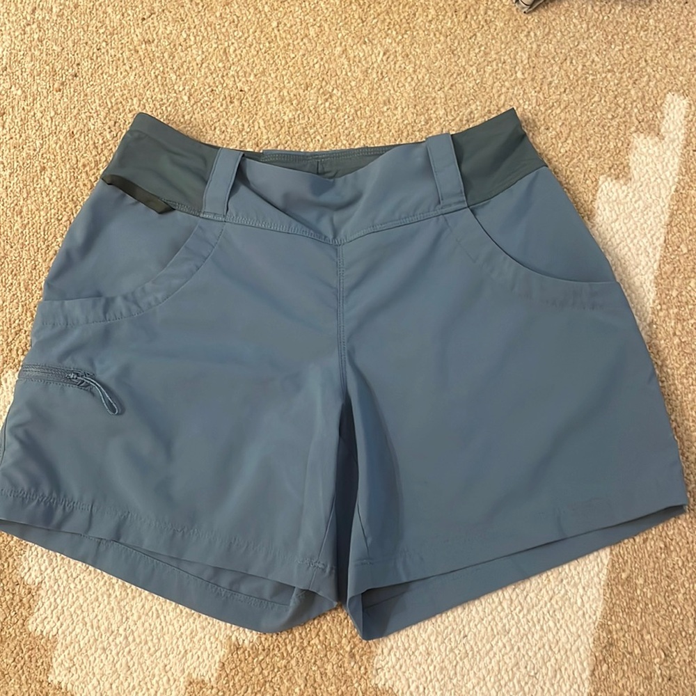 Patagonia Fitz Roy Shorts